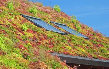 Fenton Pits living roof systems